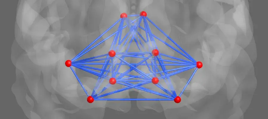 Lothian Birth Cohorts salience network brain mapping