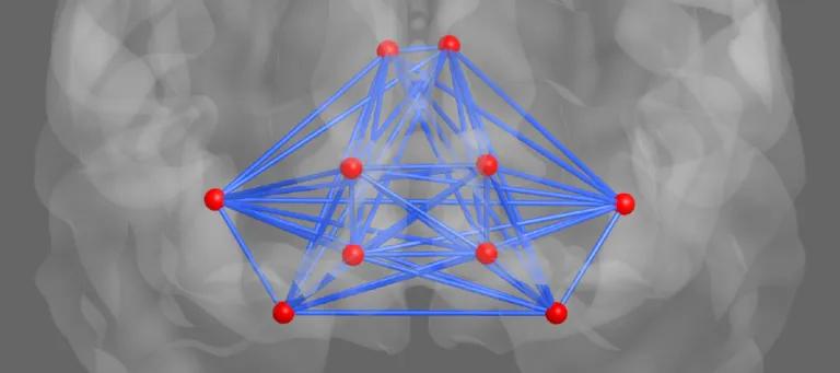 Lothian Birth Cohorts salience network brain mapping
