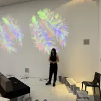 Developing brain